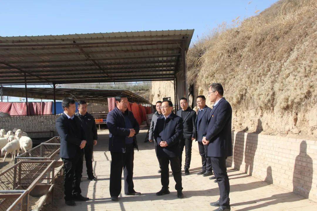 县委副书记王建刚深入木钵镇调研指导当前重点工作