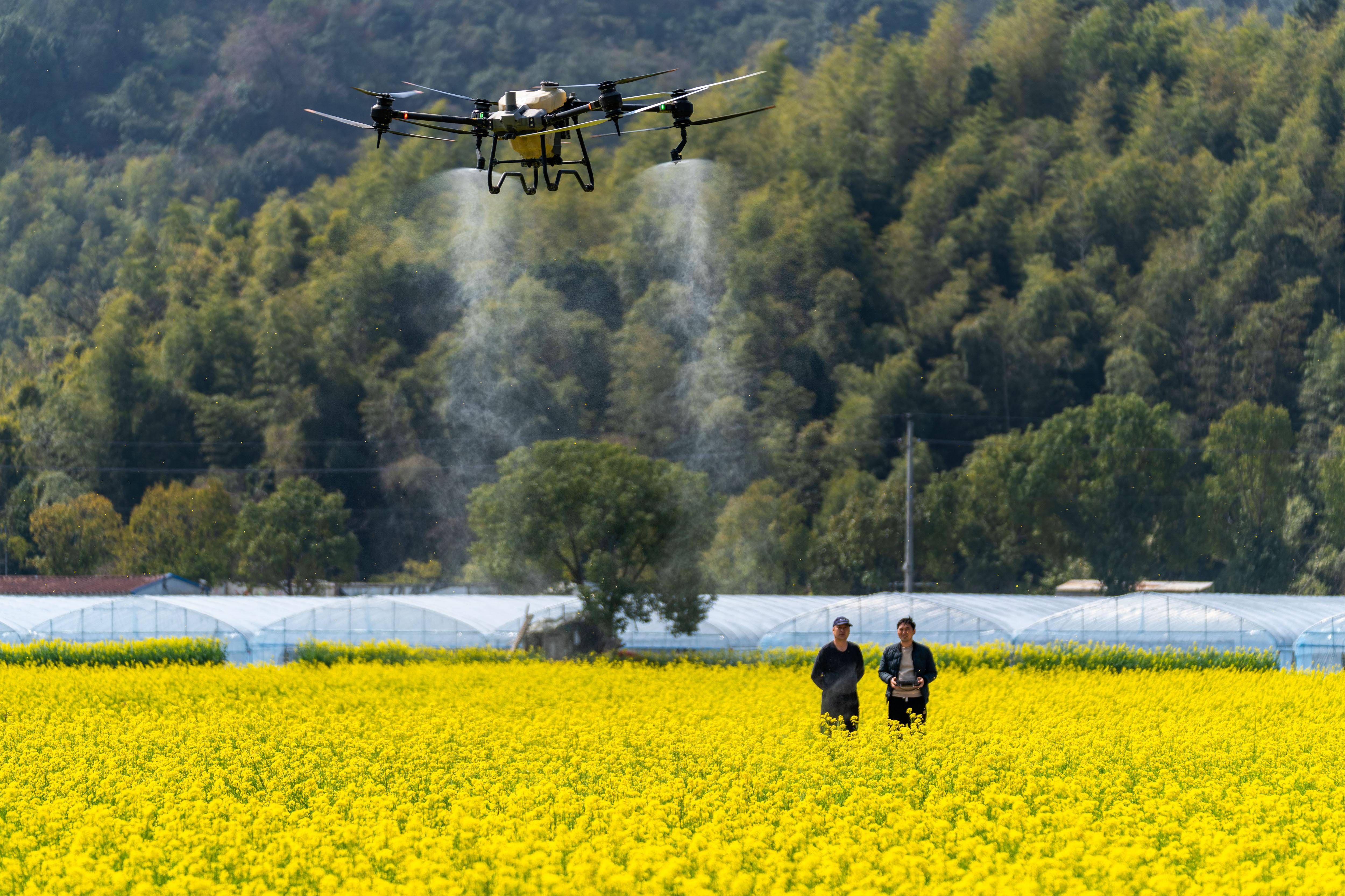 春日农忙#_新华社_无人机_农机