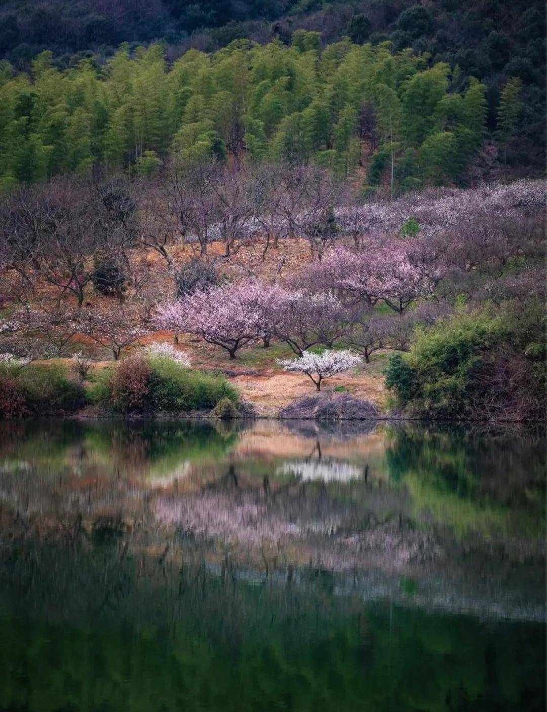 好天气回归是时候走进宜兴的春天里了