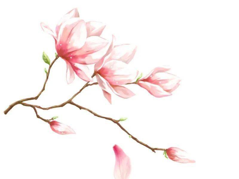 在心里种花