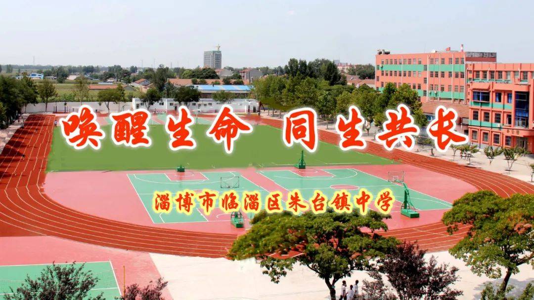 全环境立德树人童心暖三月爱满妇女节朱台镇中学小学部开展妇女节主题