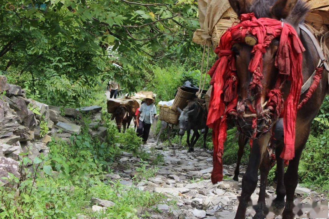 精神文明昌宁耈街筑路史上书写龙马精神