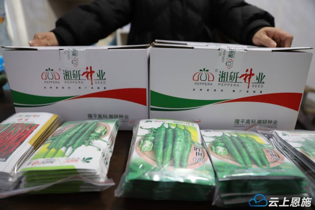 目前,种子,化肥,农膜等生产物资能完全满足辣椒春耕生产的需要,等天气
