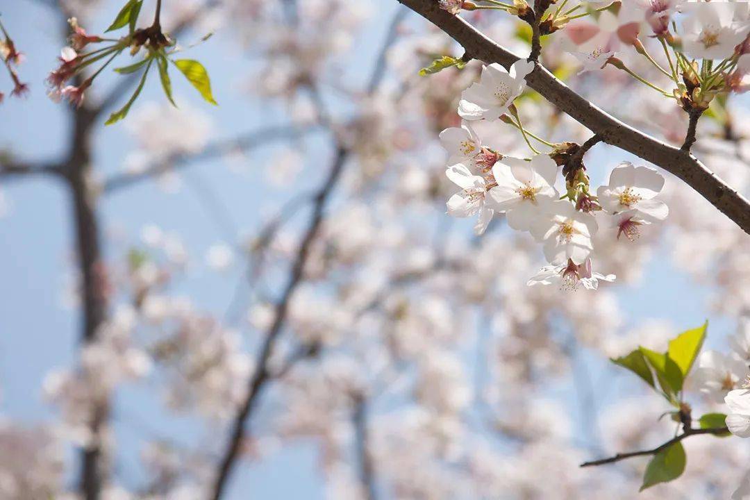 天气晴好暖阳相伴