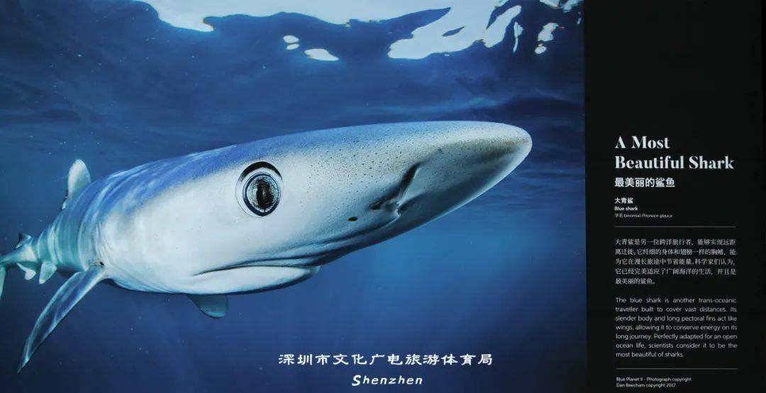 全球首个bbc earth主题影像巡展奇幻开展_展览_星球_极端