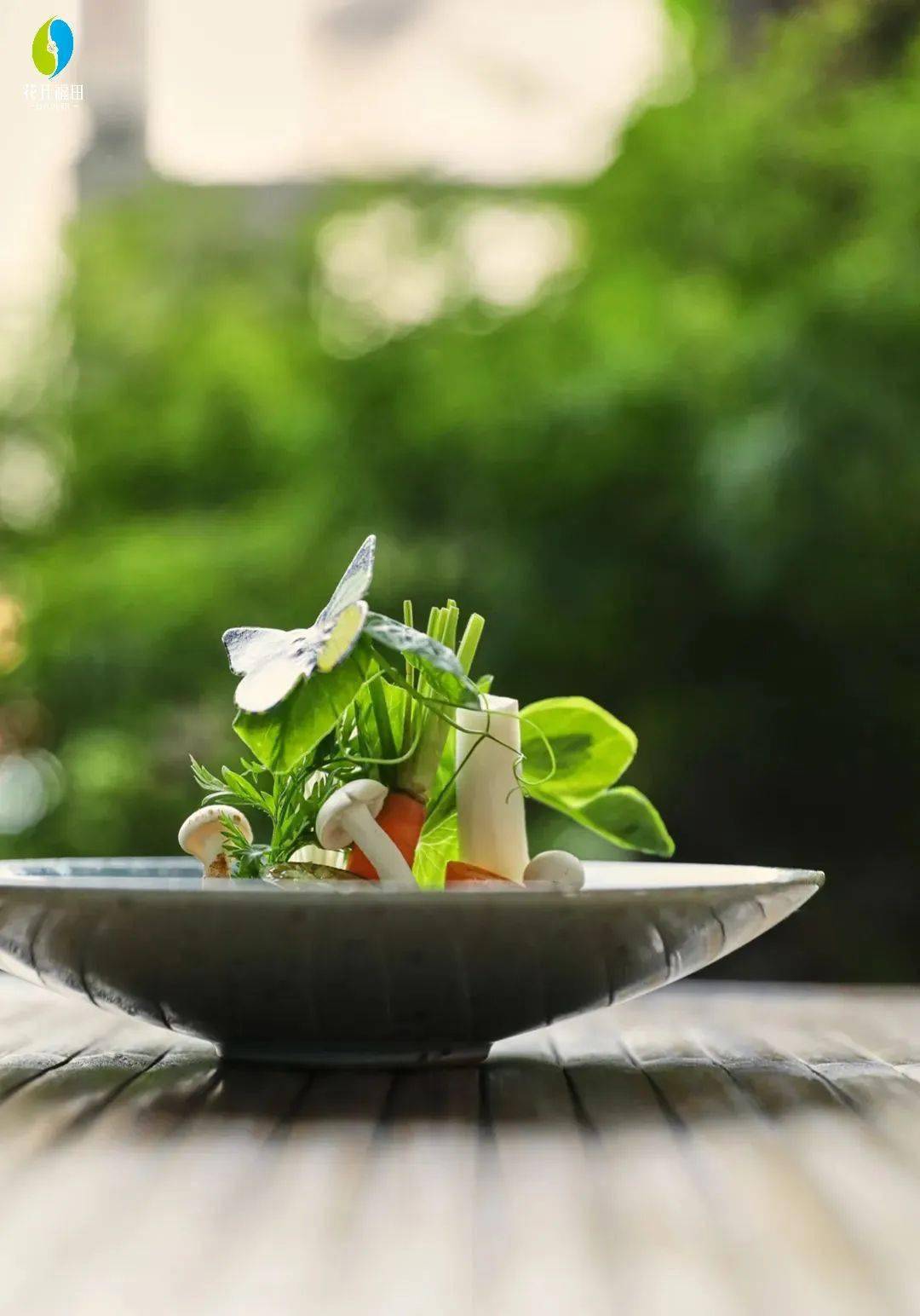 春宴上新食一箸春鲜争一口鲜嫩