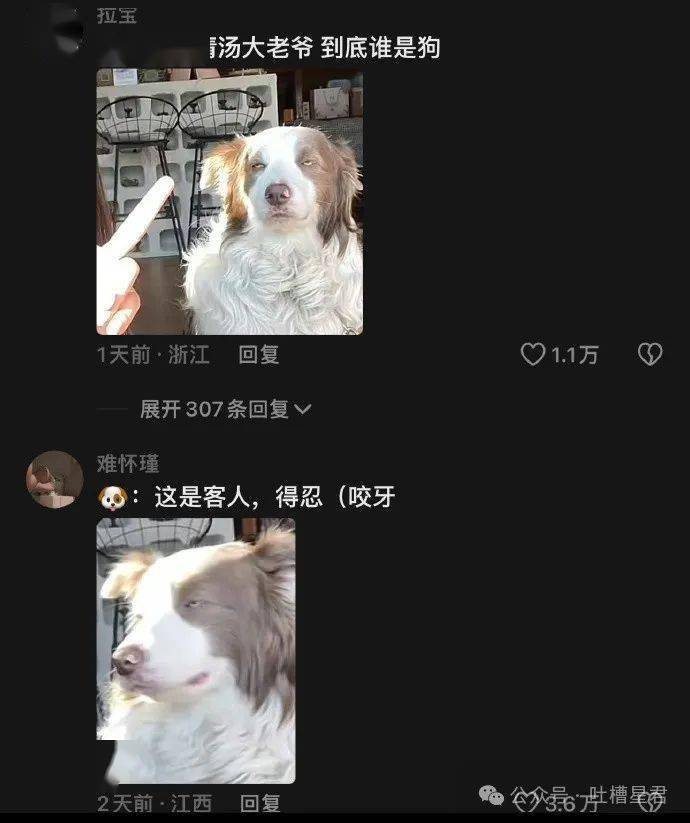 富婆花15w让我整容成蔡徐坤网友无语我脱毛都比这个贵