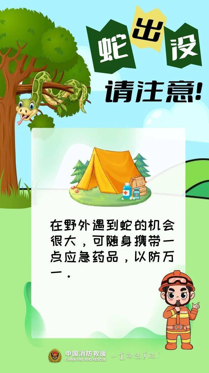 吓人35斤巨蟒惊现工地25米长如臂粗