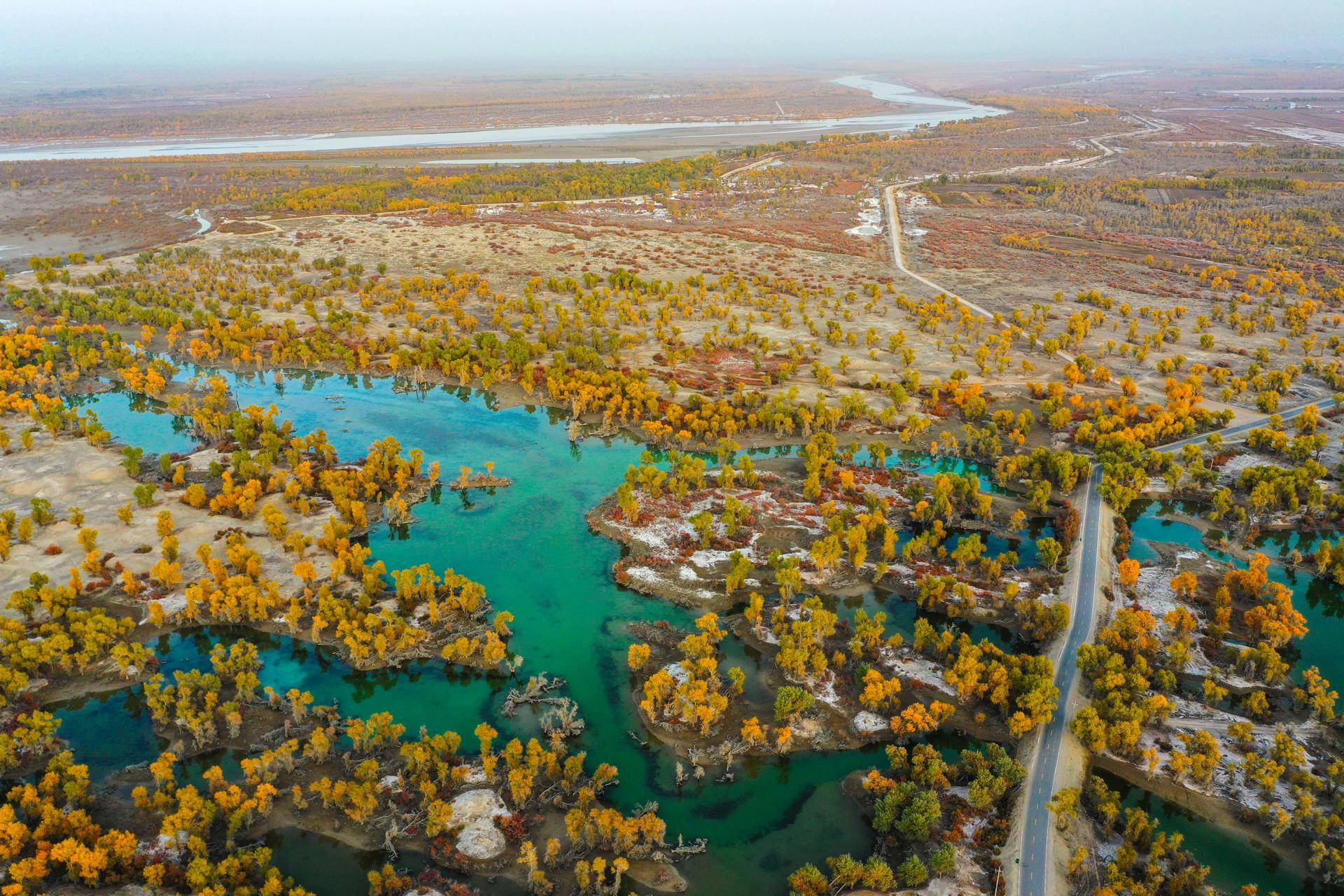 新疆阿克苏邀客长沙,去神奇丝路邂逅春日胜景