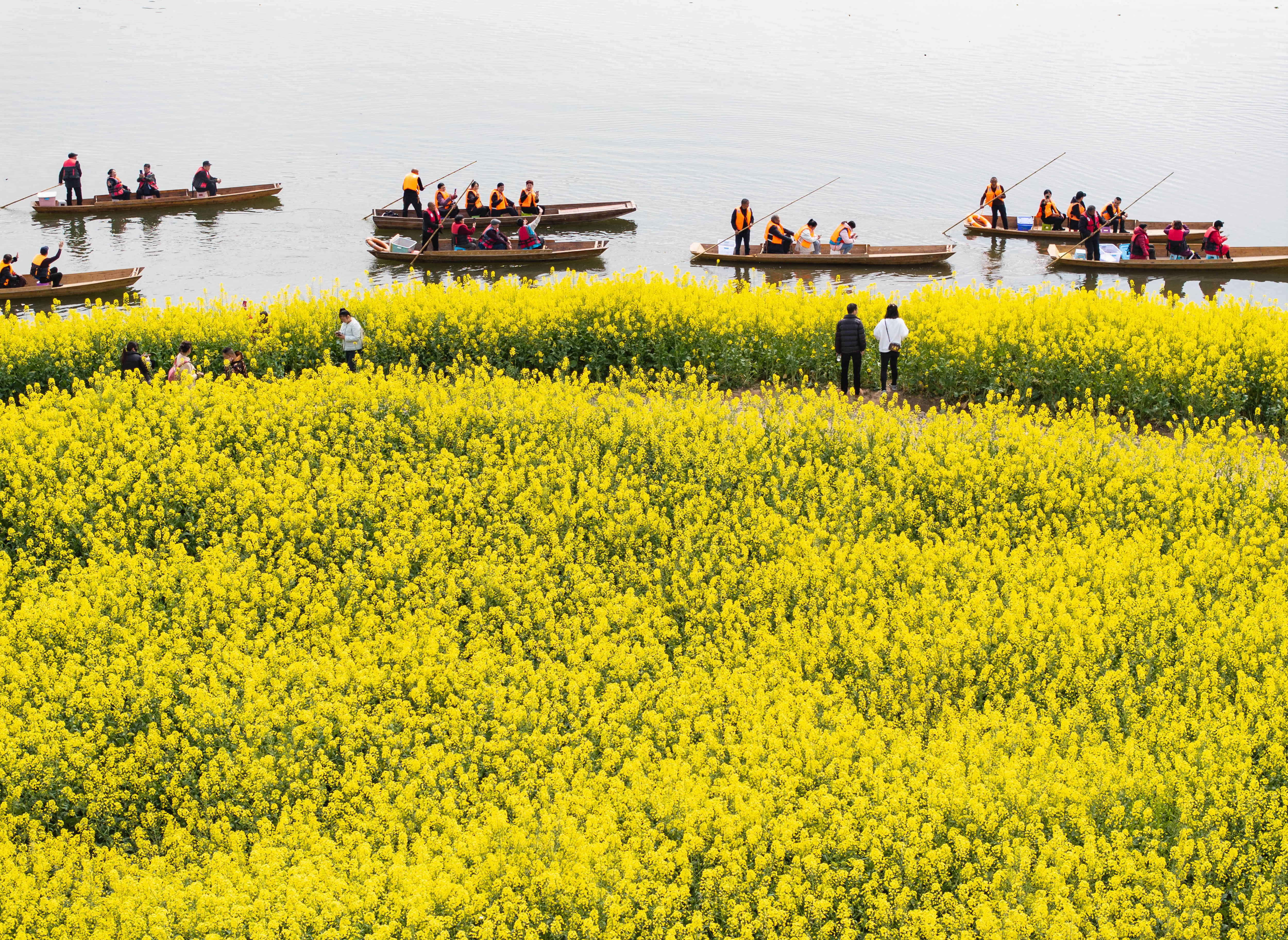 打造生态旅游休闲目的地,以花为媒,做强美丽经济,助力乡村振兴