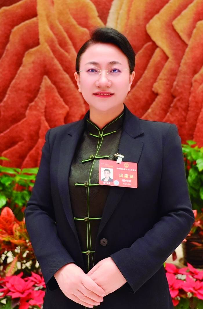 全国人大代表,河北金融学院院长杨伟坤:提升京津冀金融