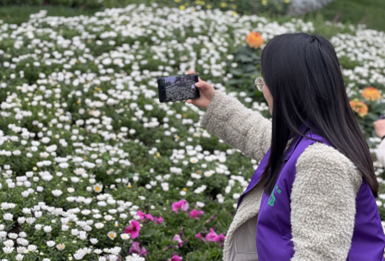 重庆巴南区：巴滨花艺园开园迎客这份花艺盛宴等你来打卡(图4)