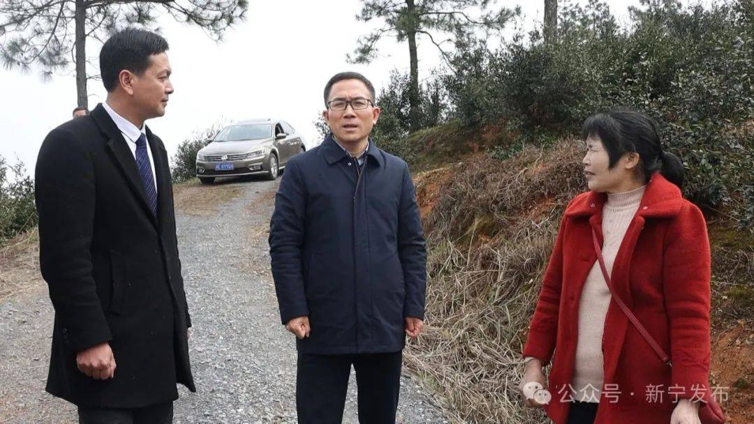 邓涛到丰田乡调研产业发展工作