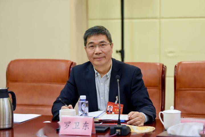 代表委员聊宝藏全国政协委员罗卫东要把宋画的衍生产品做好