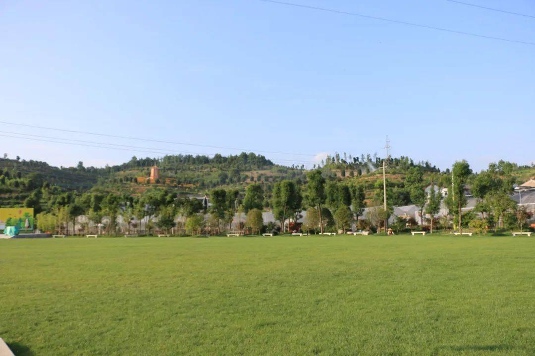 黄岩最撩人的春色就藏在._part_九峰公园_庄园