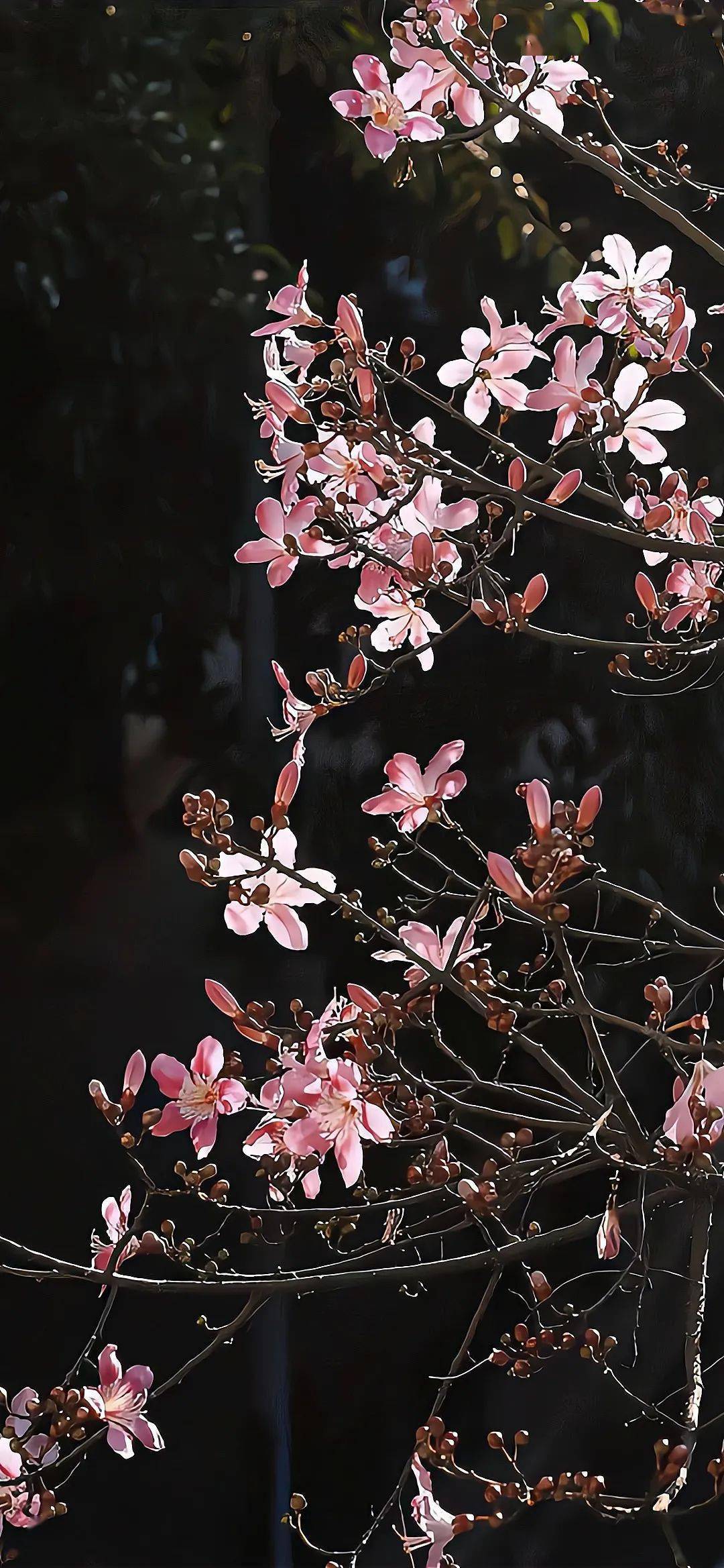 壁纸一看就想换的锁屏壁纸