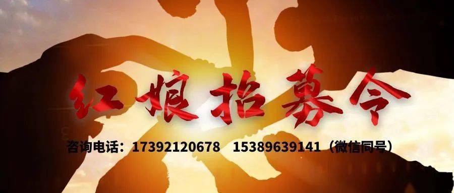 5000 财务小姐姐征婚 你符合吗?_平台_工作_要求