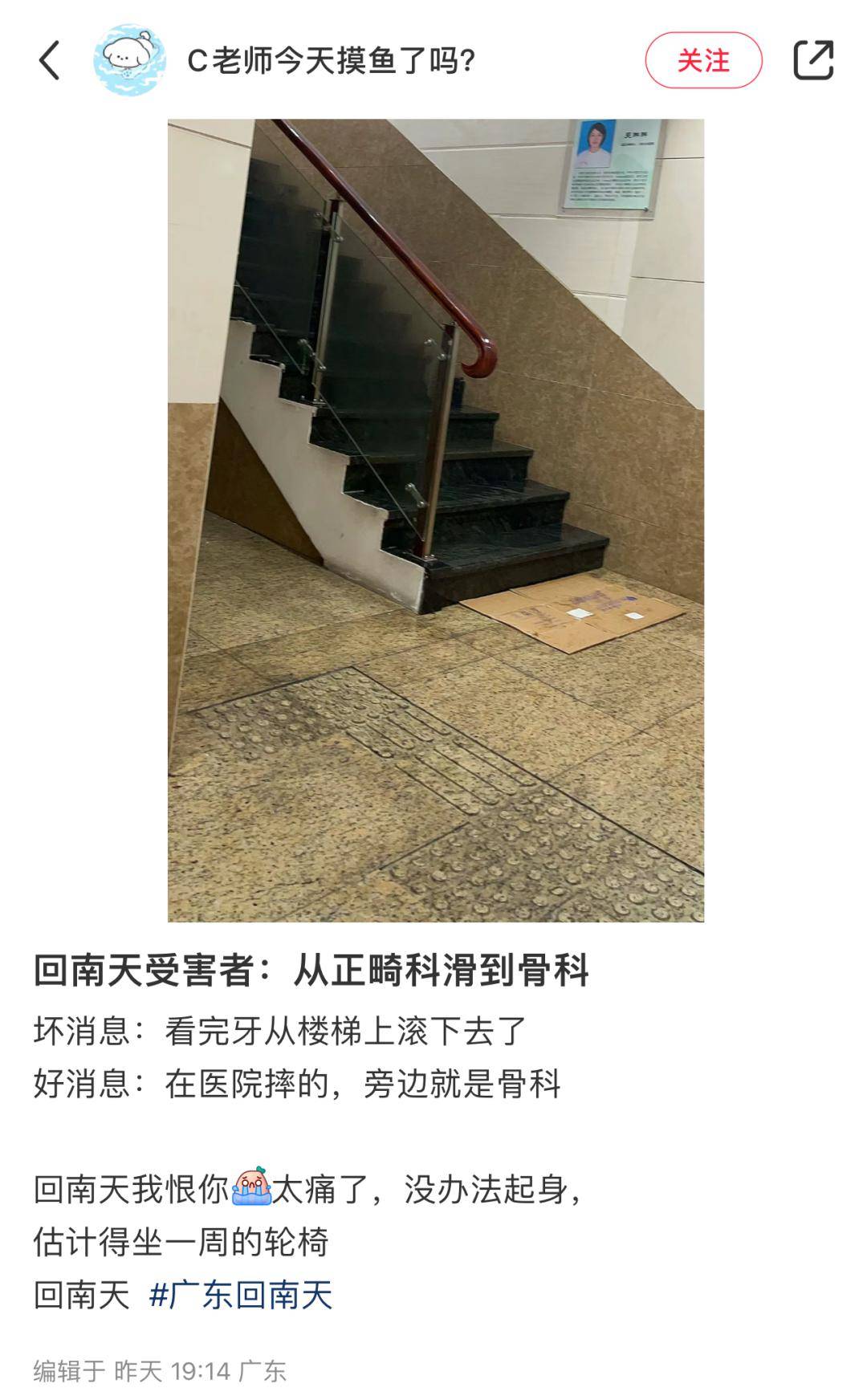 离谱程度刷新下限今年的回南天让南方人和猫都摔进骨科了