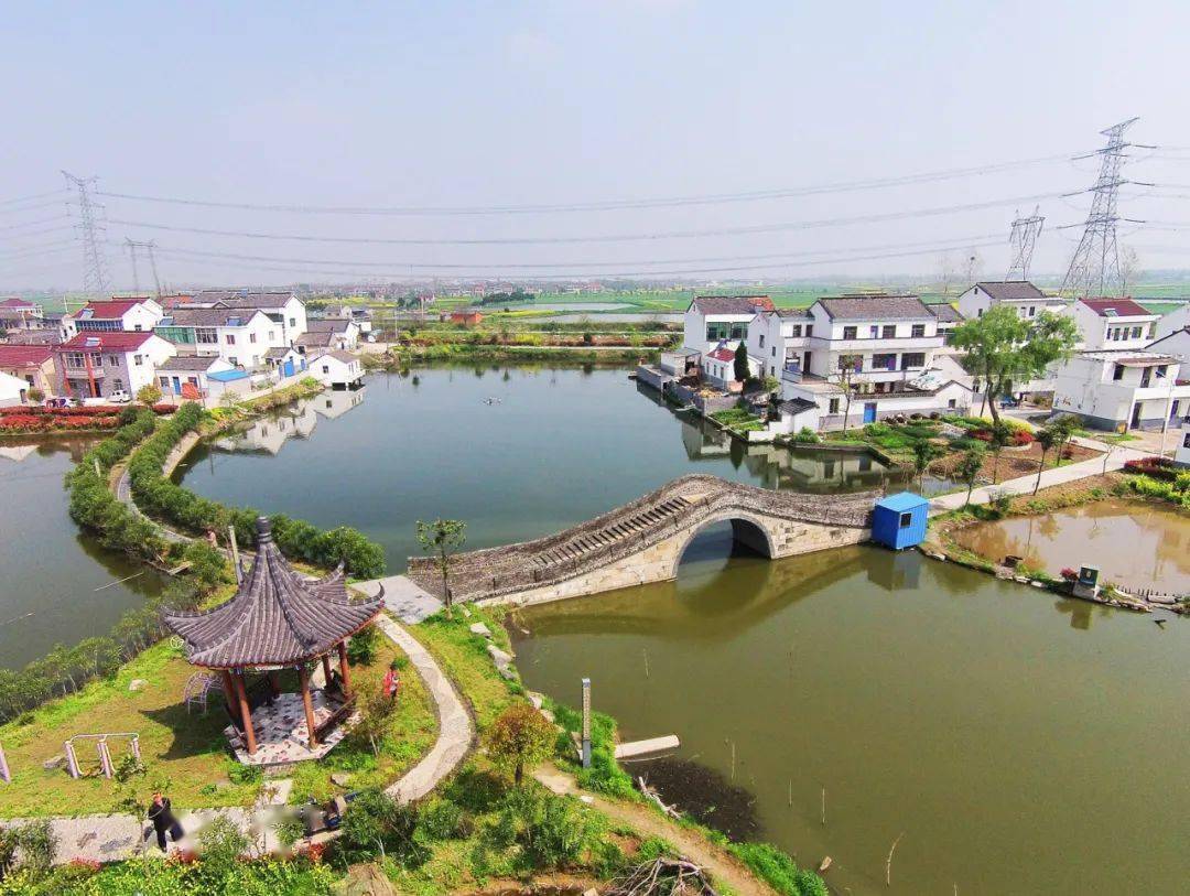 5 11!省级示范!_街道_建设_生态