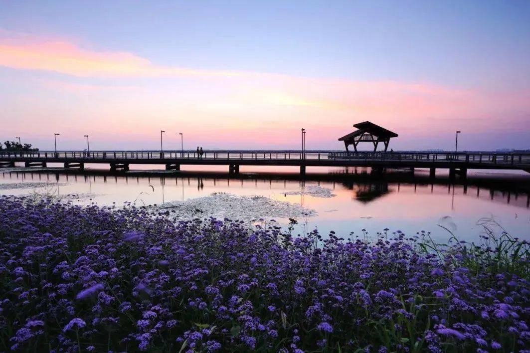 阳澄湖旅游景点图片