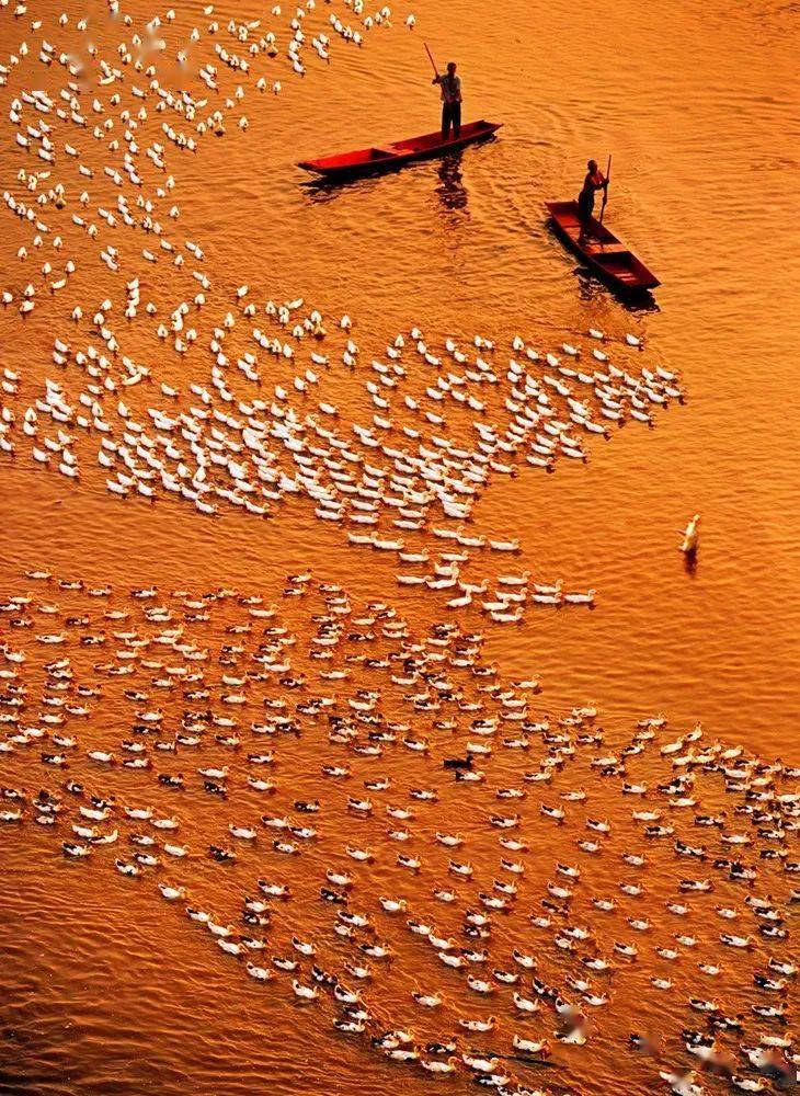 竖构图拍摄,视觉冲击力竟然可以这么大!_画面_摄影_线条