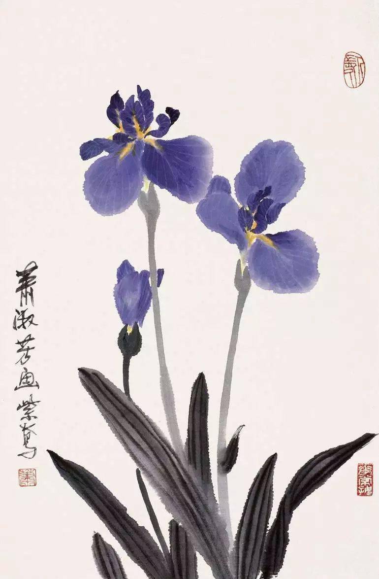 她的画齐白石指点高迈行云渐至化境