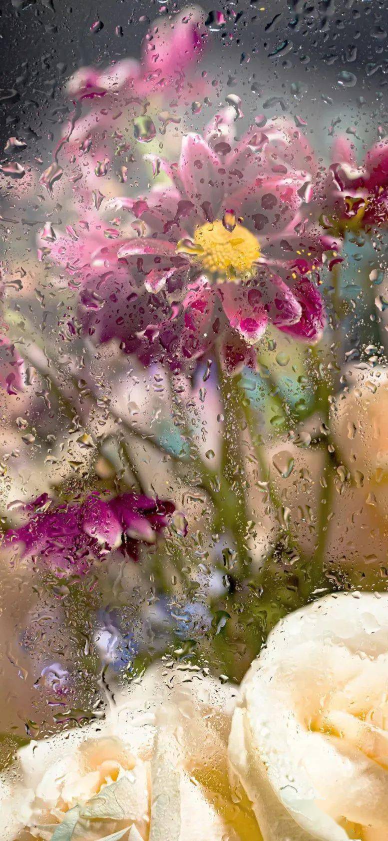 壁纸|ins风高级感锁屏壁纸