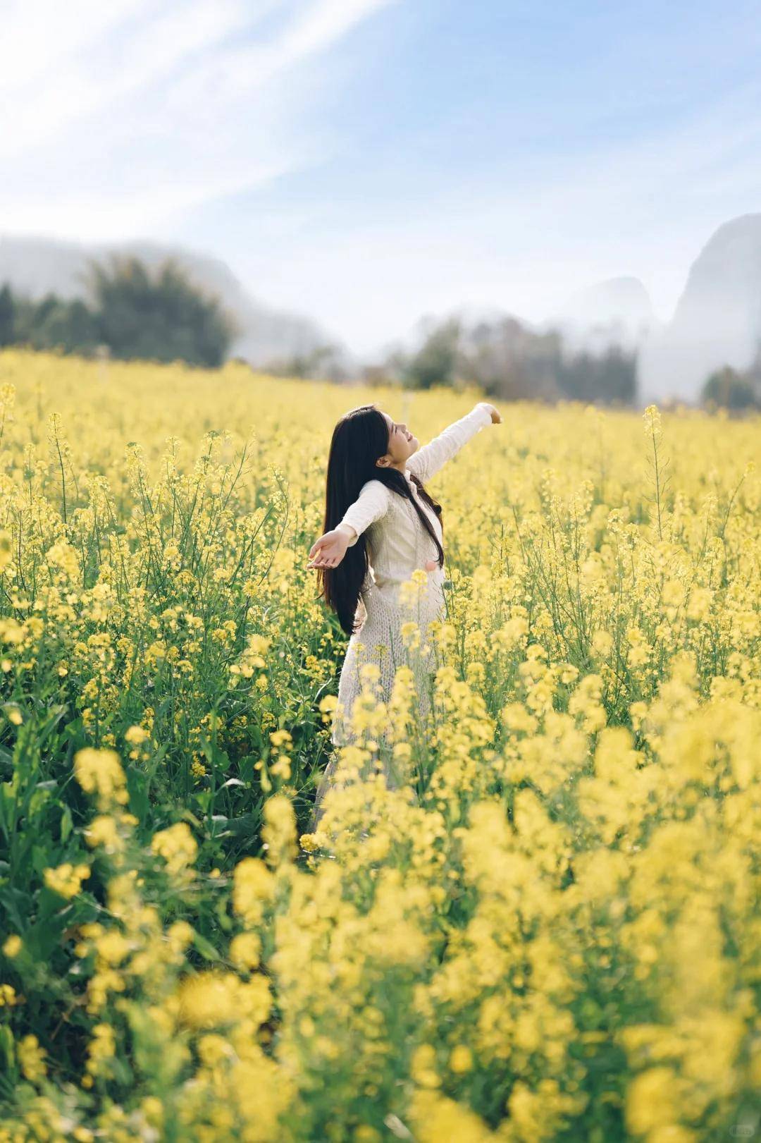 贺州油菜花 图/小红书@柒贰一一92贺州油菜花地图富川瑶族自治县
