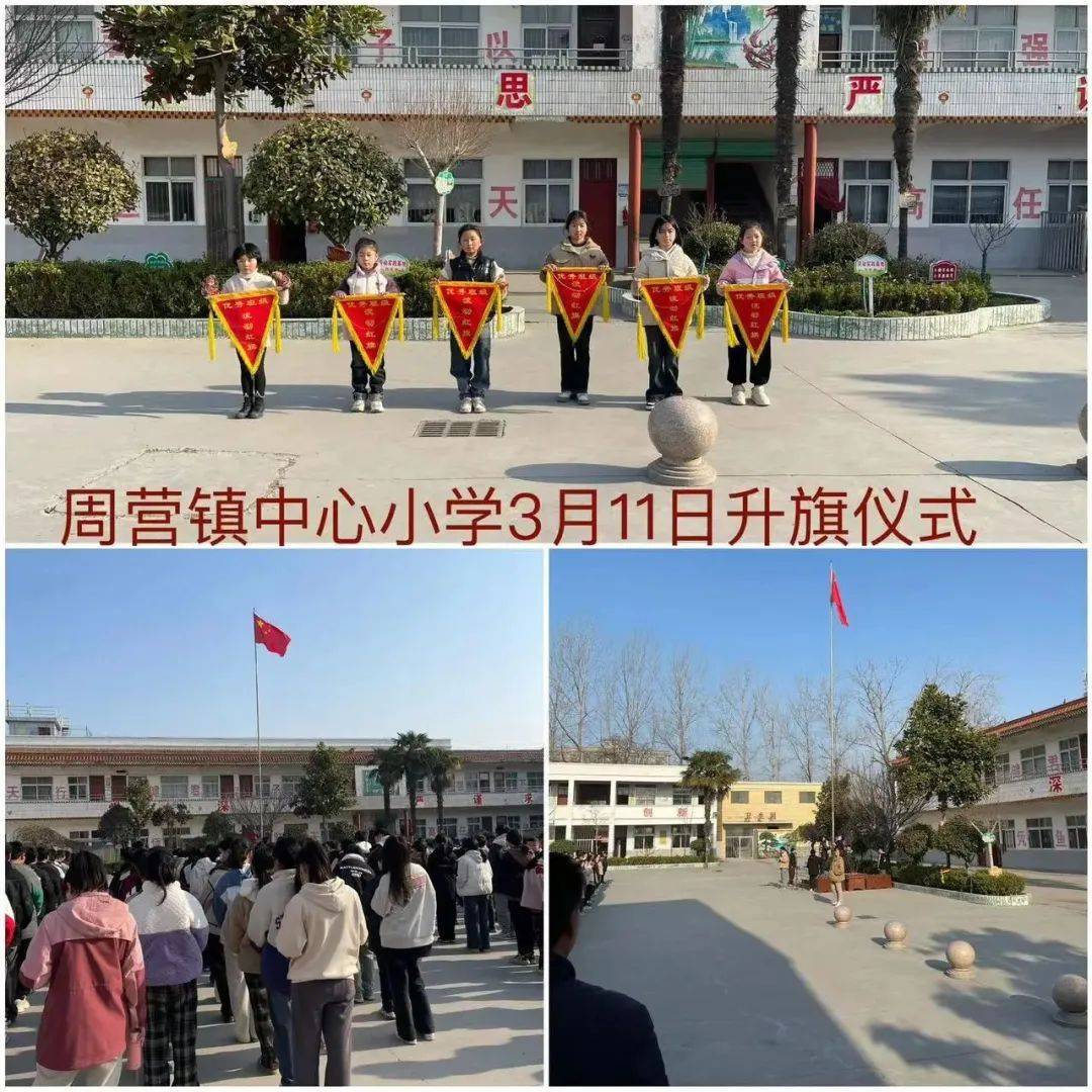 孟店桥小学范营乡单营小学纸店镇中心小学树人小学白集镇后三庄小学