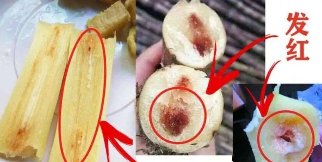 江苏疾控最新提示_传播_症状_甘蔗