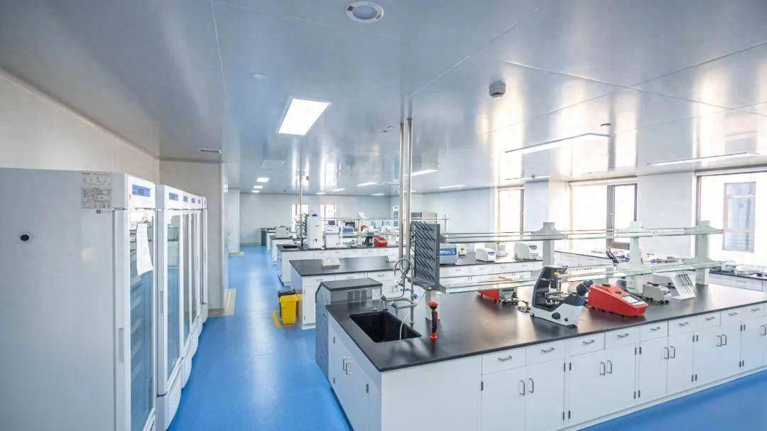 恩凯赛药实验室内景在nk细胞的基因转染修饰技术方面,恩凯赛药对外周