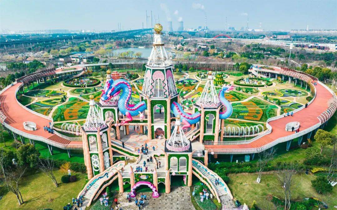 奇迹花园_东方_郁金香