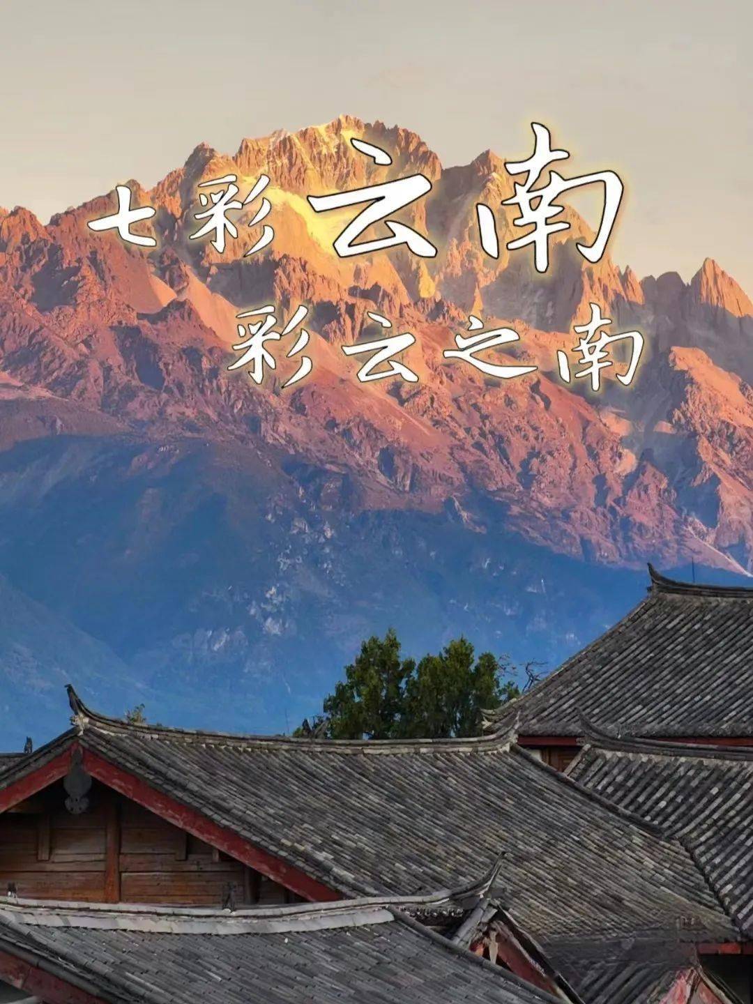 刚刚时间定了抓紧报名