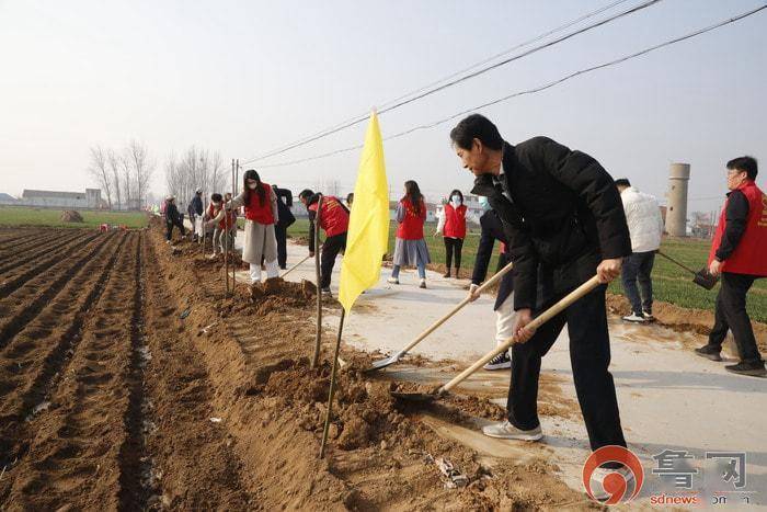 滕州市姜屯镇开展绿化环境植树有我义务植树活动