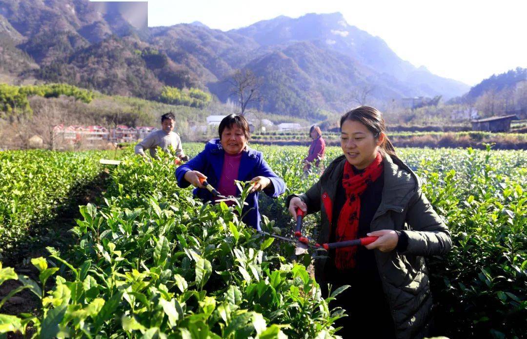 亮故事大湾村的红火日子