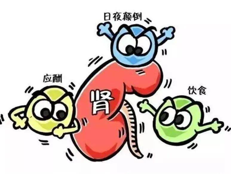 科普常识世界肾脏日全民肾脏健康推进公平的医疗服务和
