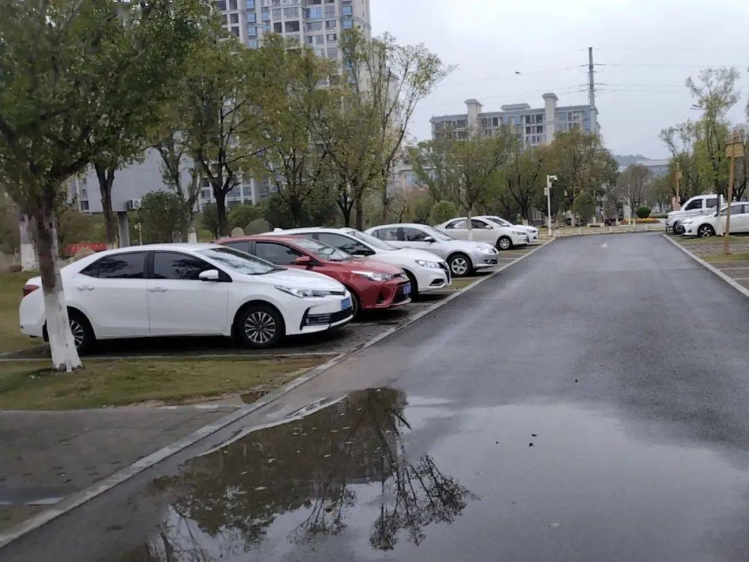 车辆_机动车_泊位