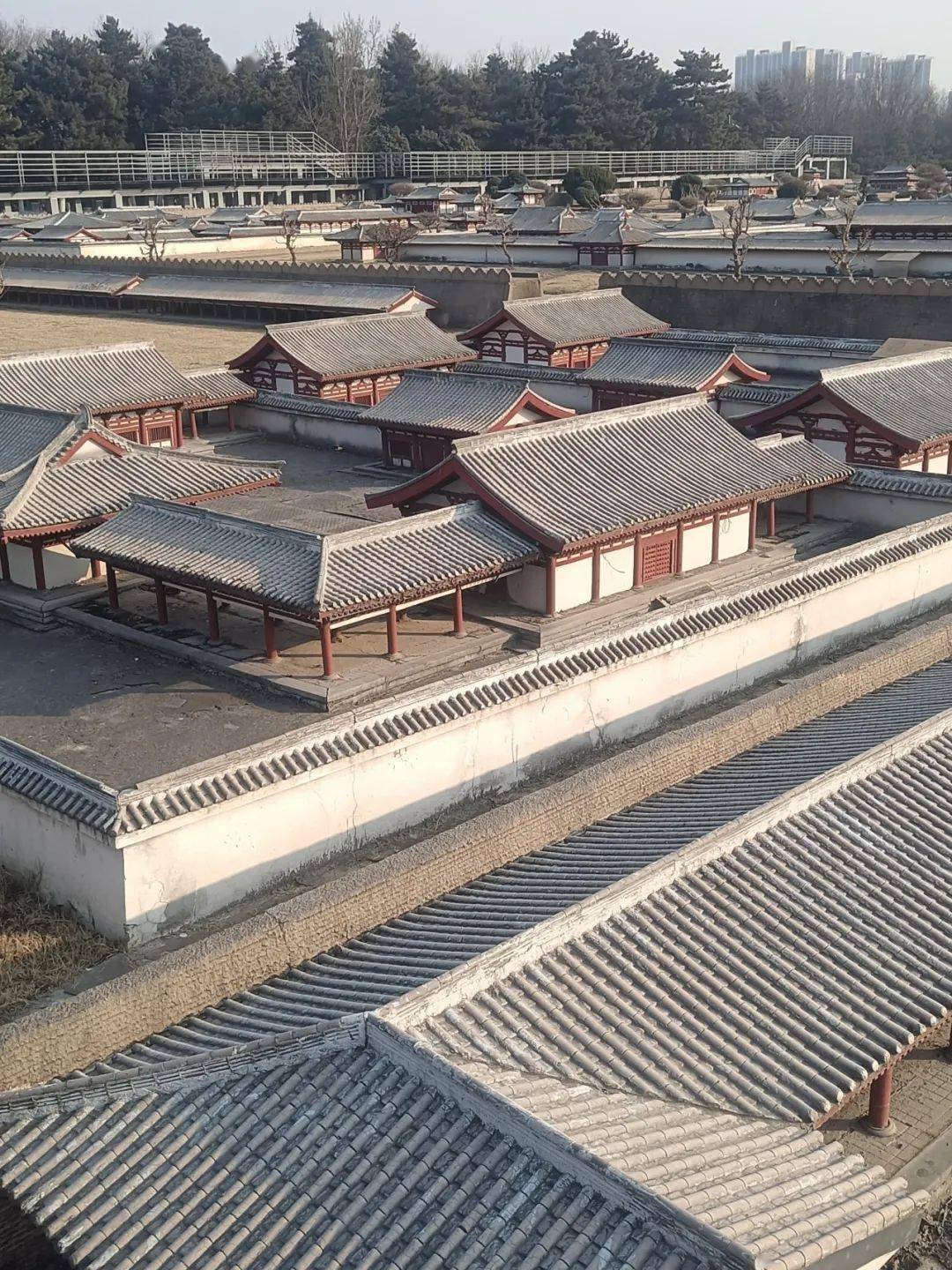 有声读物 | 大明宫随想_大唐_皇帝_宫殿