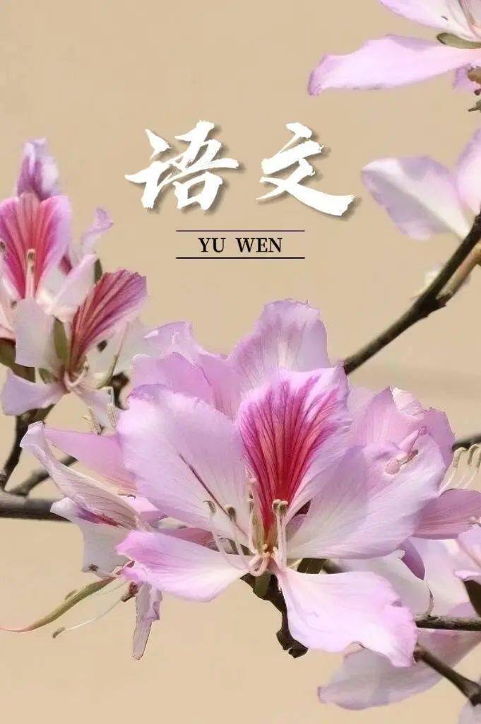 们签收来源 |校团委图片 |李荣珊 黎敏 欧阳桂菊 甘美凤  吴柳宣文字