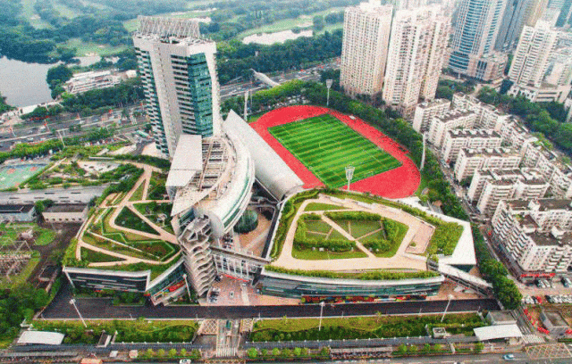 国家出手教你减肥想不瘦都难建议收藏