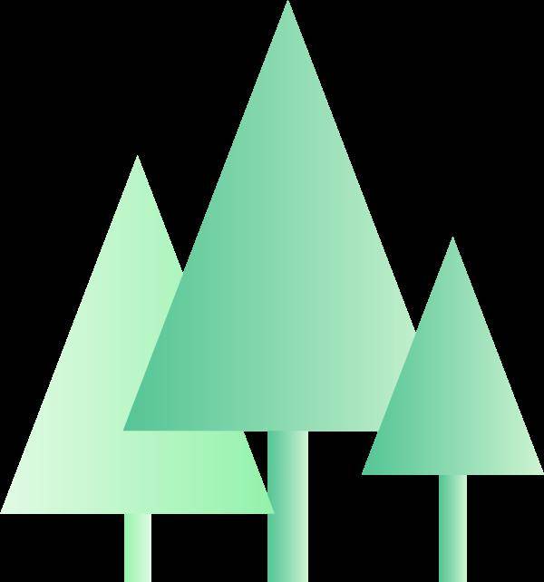 一棵树的数字故事~_树木_树苗_树林