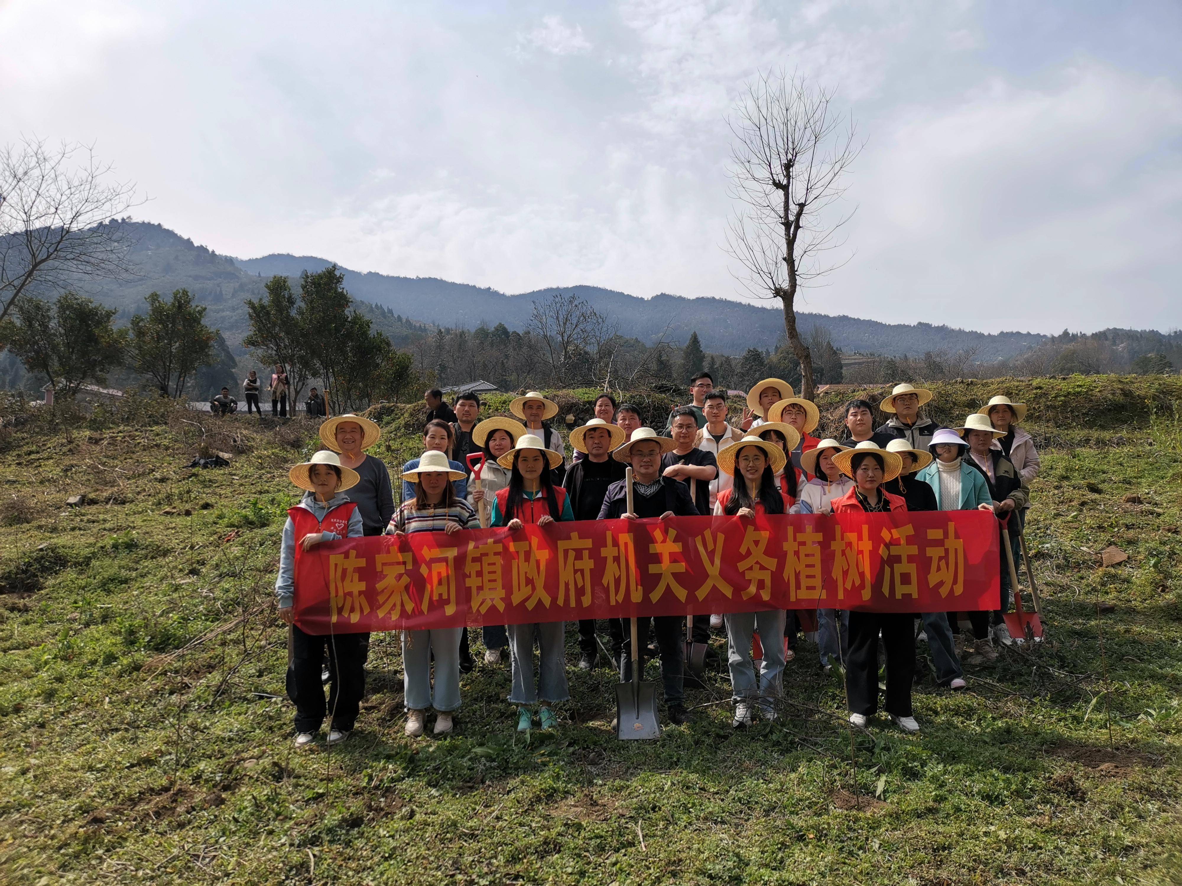 陈家河镇图片