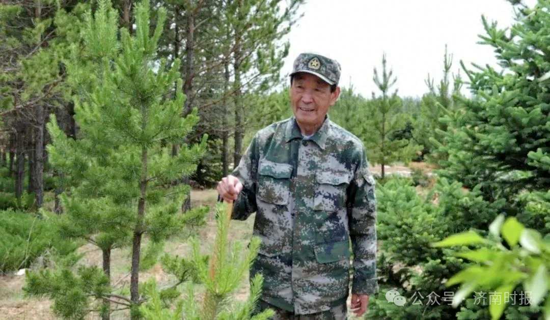 张连印同志逝世_张家场村_树苗_孩子