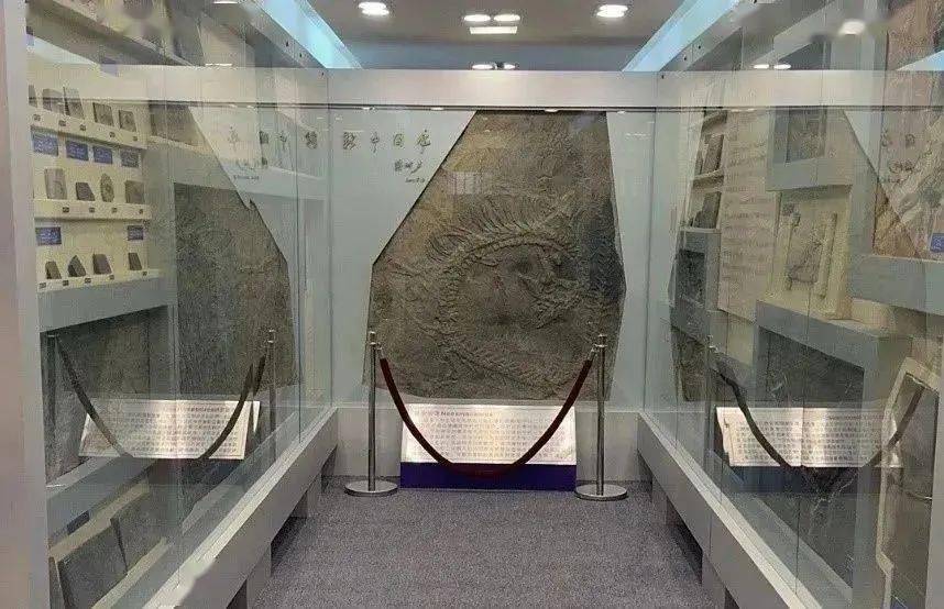 南京大学地球科学博物馆这所高校里有着一条"中国龙"让我们一起去看看