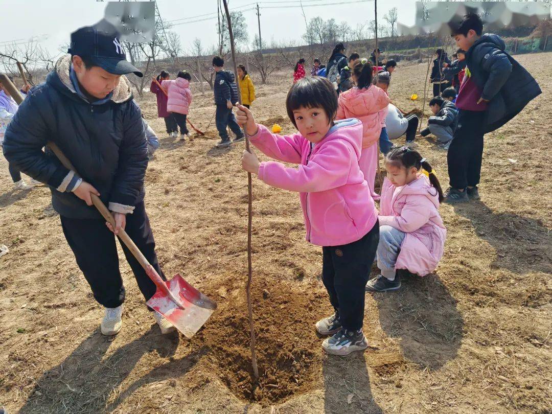 植树节图片图片