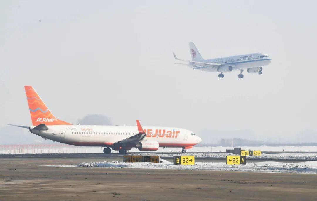 会员之声史上最忙春运见证流动龙江空港活力哈尔滨机场交出春运保障