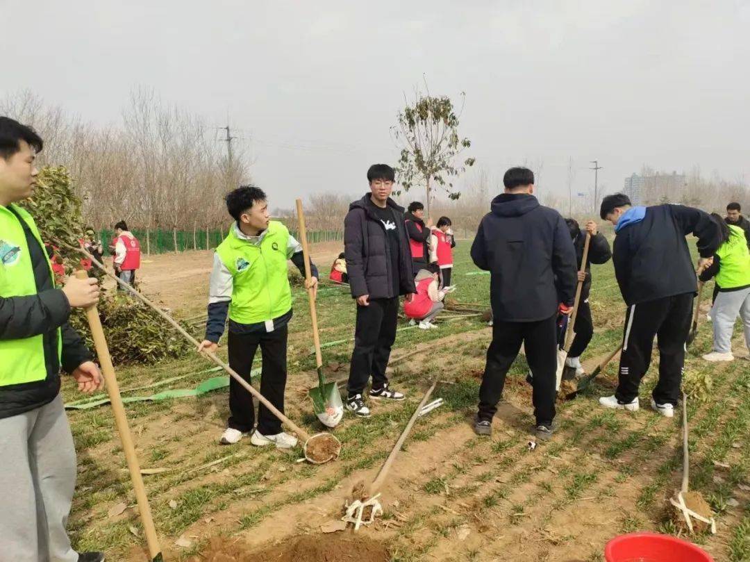 植树节学生植树照片图片