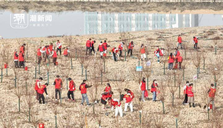 不负春光植此青绿