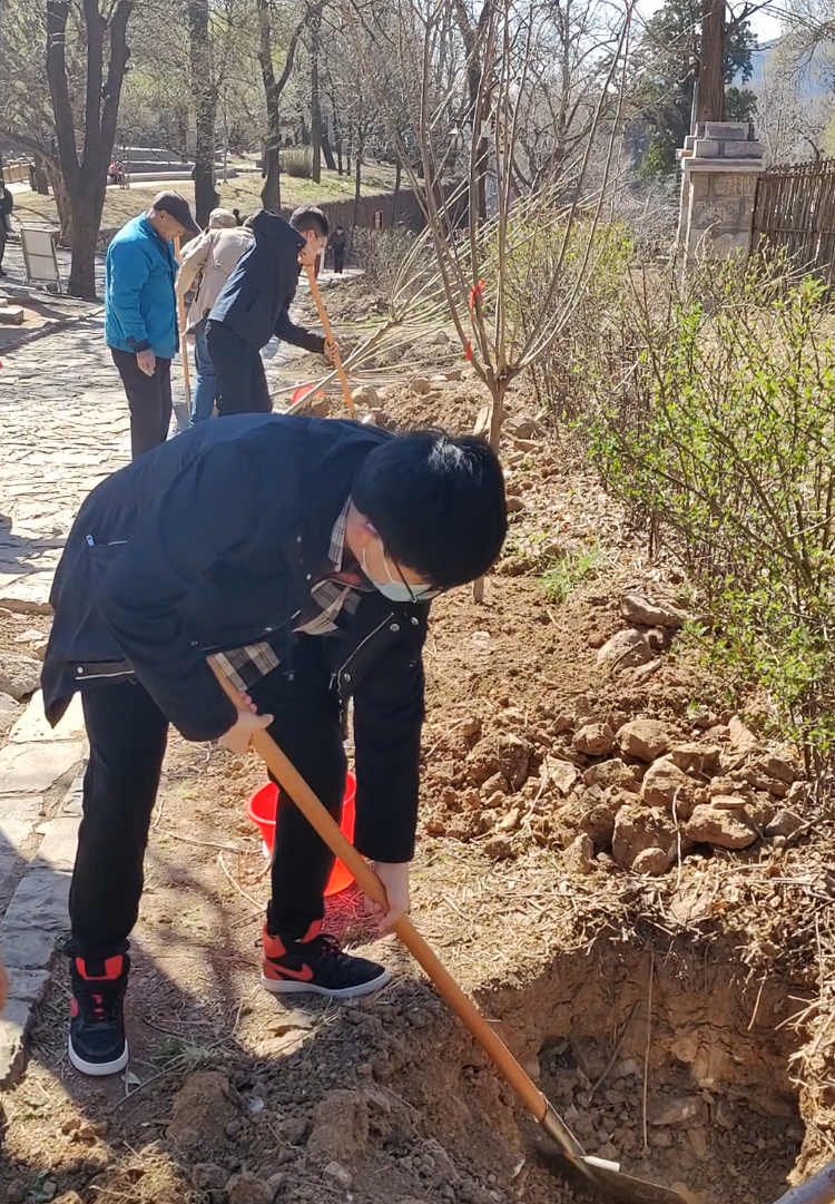 种春天不止植树节附全年义务植树活动点