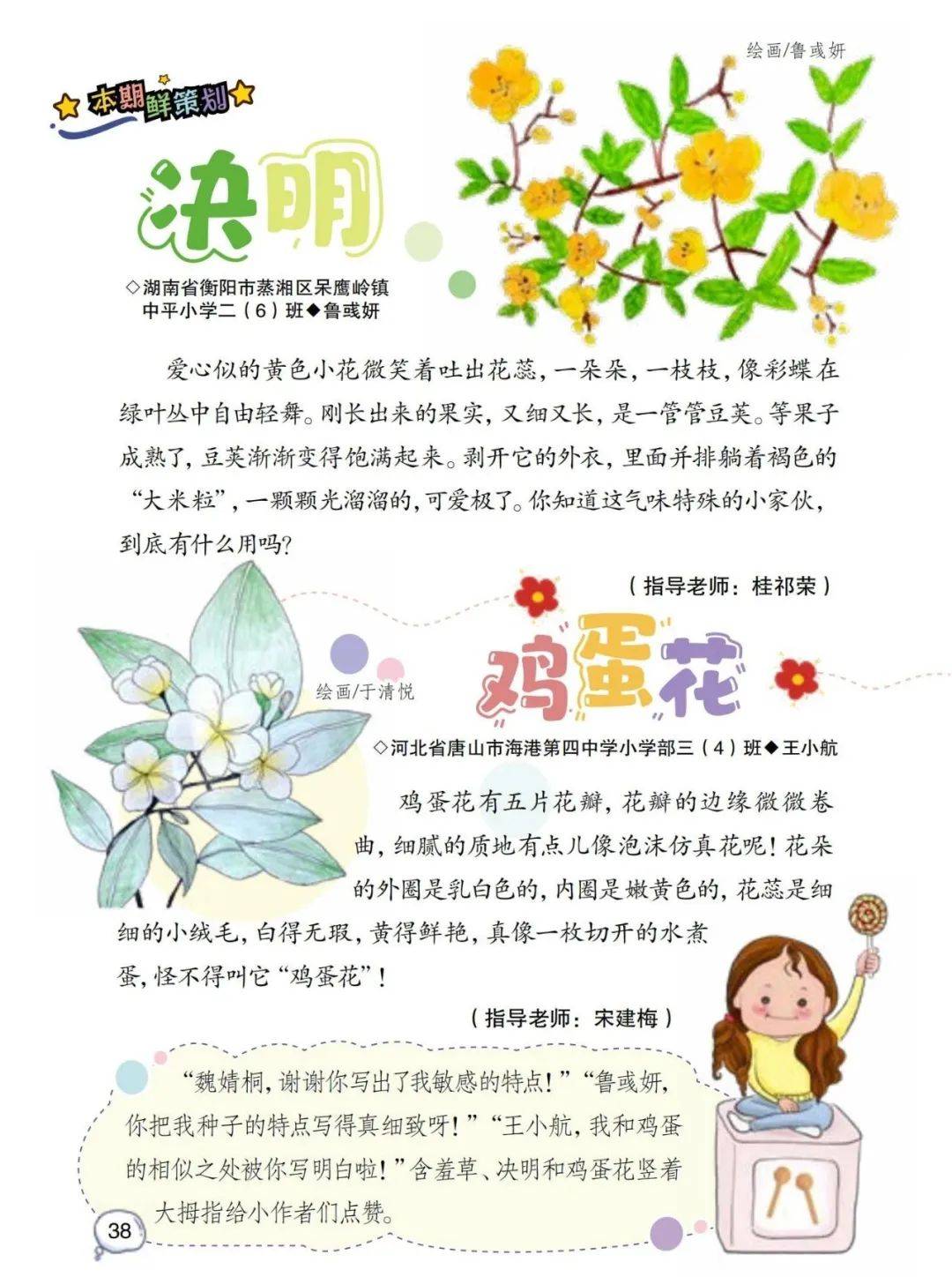 植物节介绍我的植物朋友